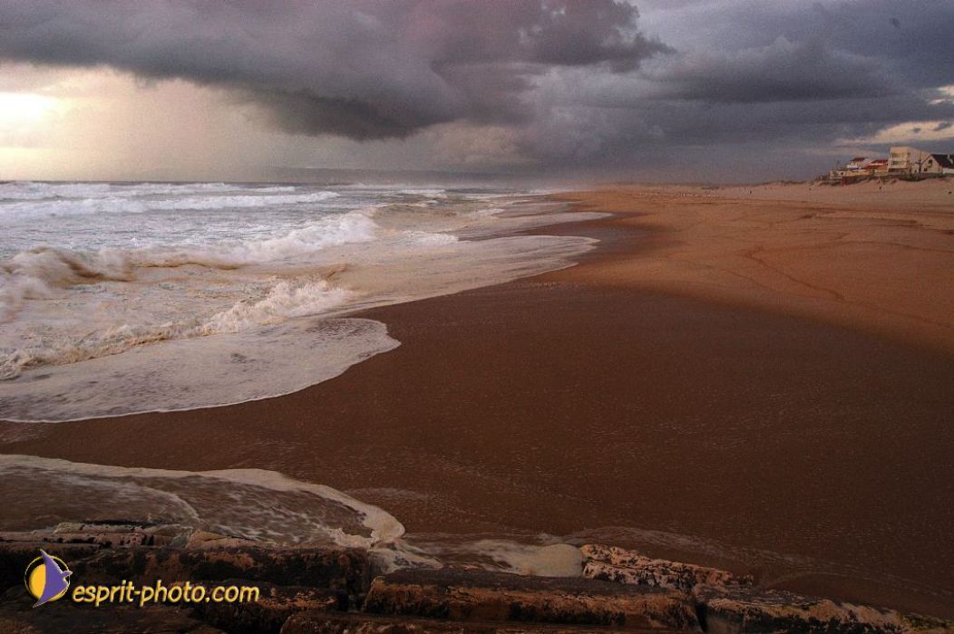 Nom de l'image : EP08-0351_(c)Norbert-JUNG — Description :